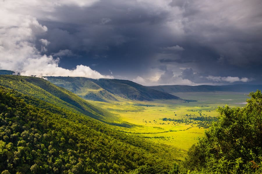 Ngorongoro Crater Day Trip