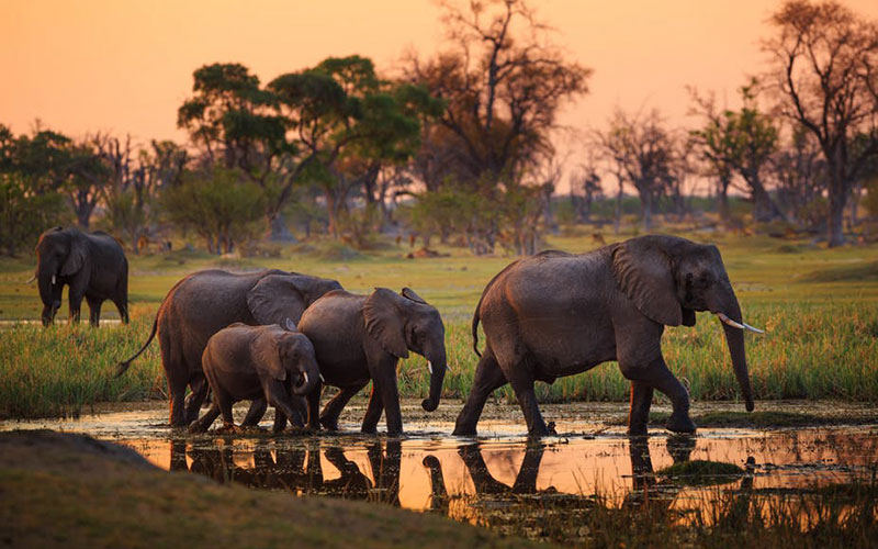 Tarangire National Park Day Trip