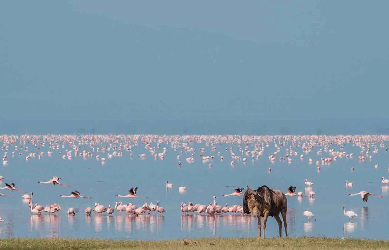 Lake Manyara National Park